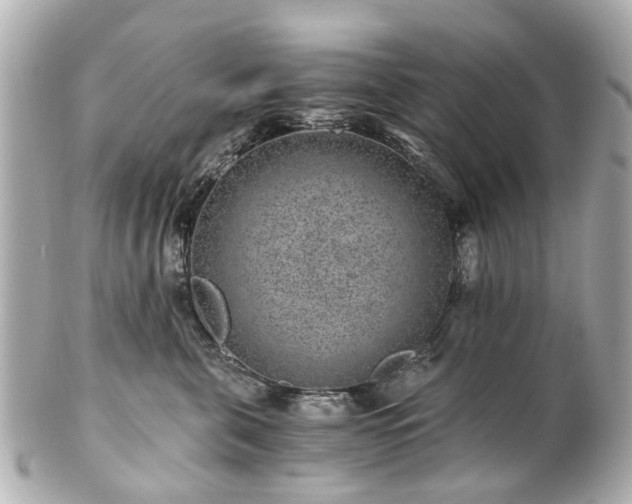 X0000100900571200807011223