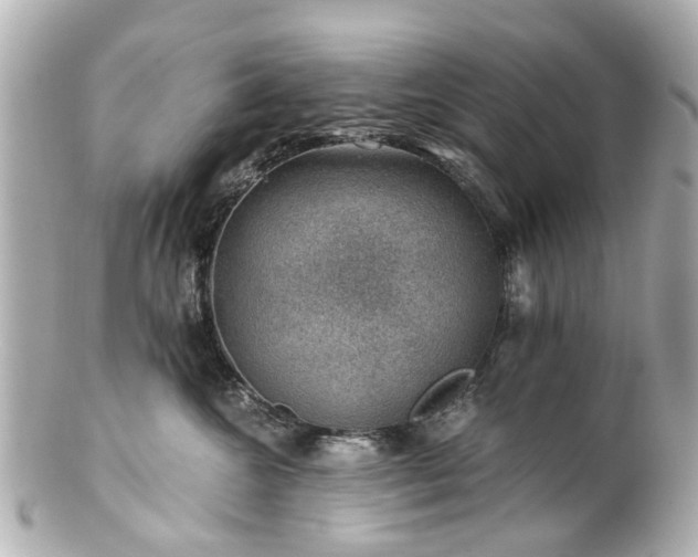 X0000100900572200807011223