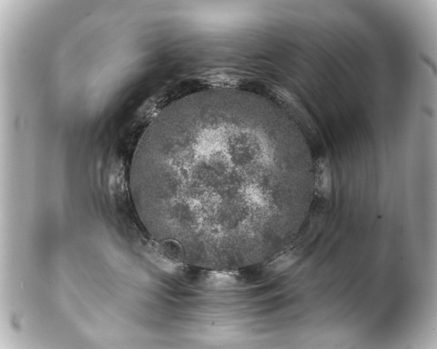 X0000100900573200807011223