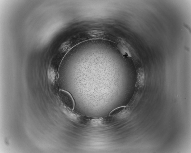 X0000100900574200807011223