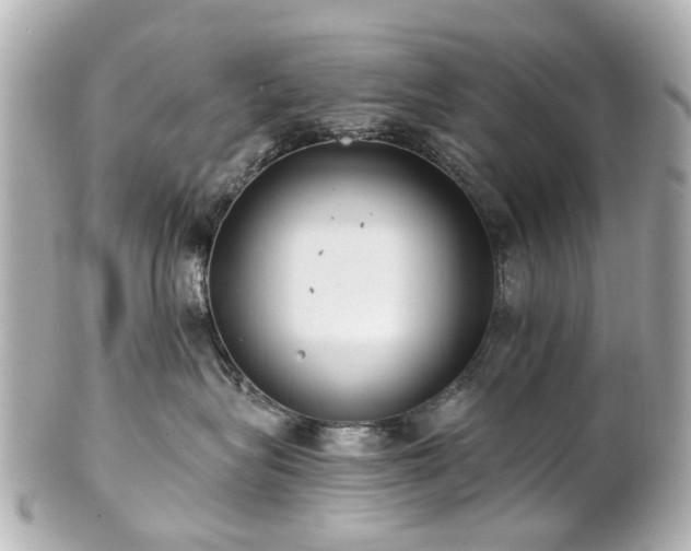 X0000100900575200807011223