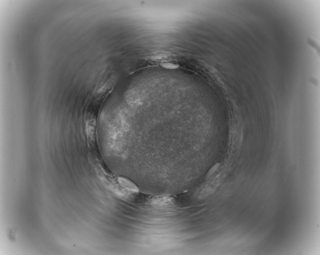 X0000100900576200807011223