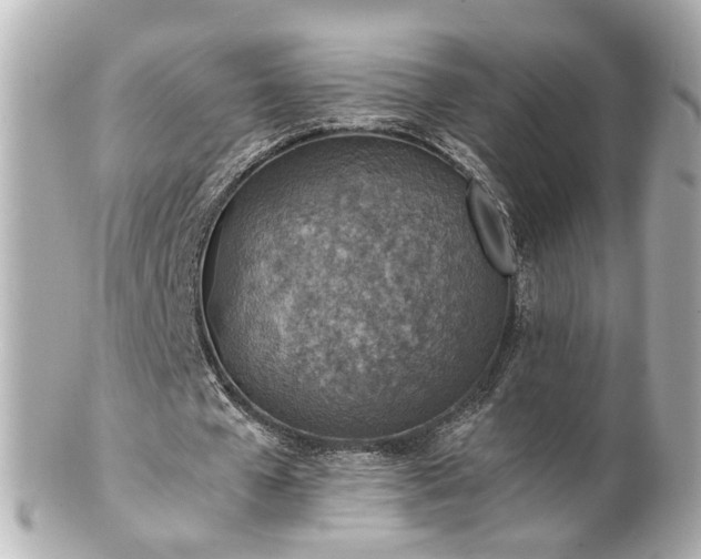 X0000100900577200807011222