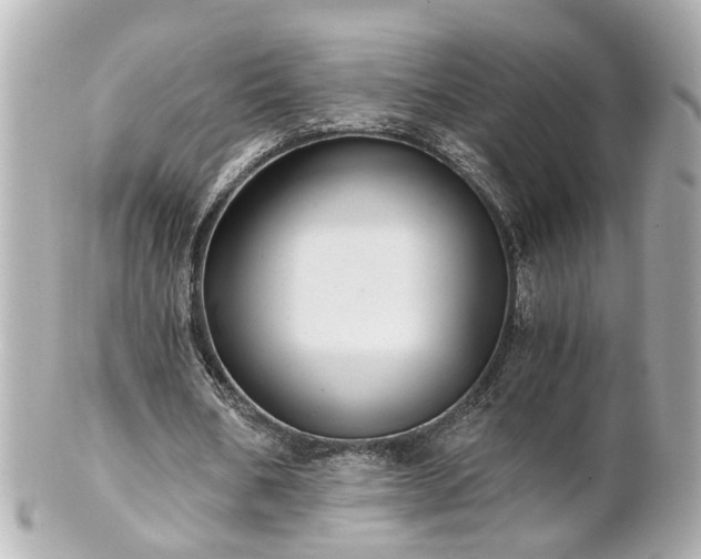 X0000100900578200807011222