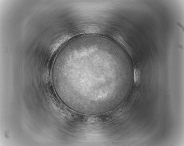 X0000100900579200807011222