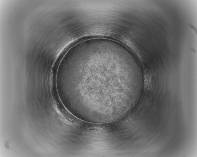 X0000100900580200807011222