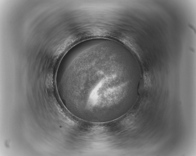 X0000100900581200807011222