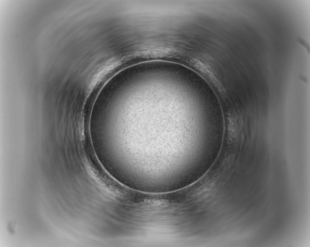 X0000100900582200807011222