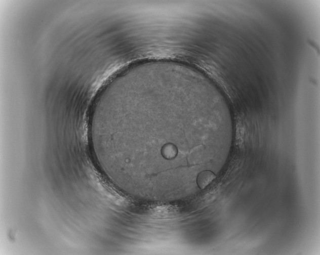 X0000100900584200807011222