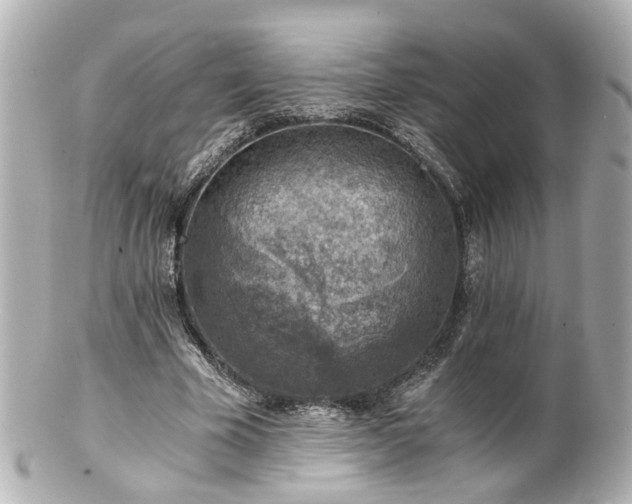 X0000100900585200807011222