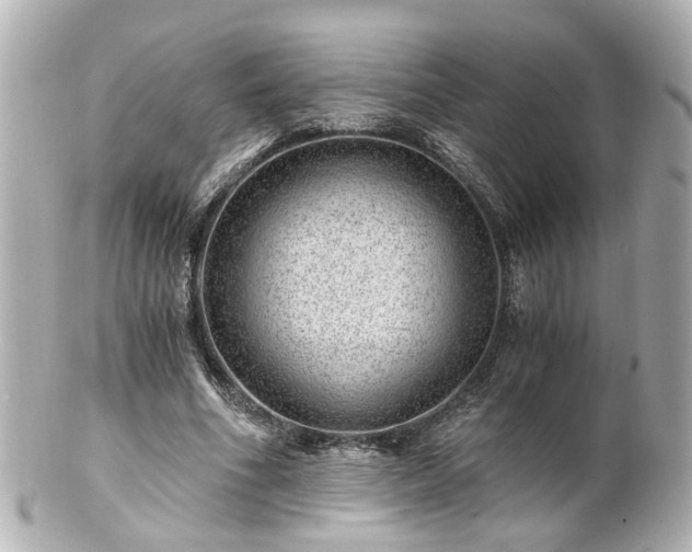 X0000100900586200807011222