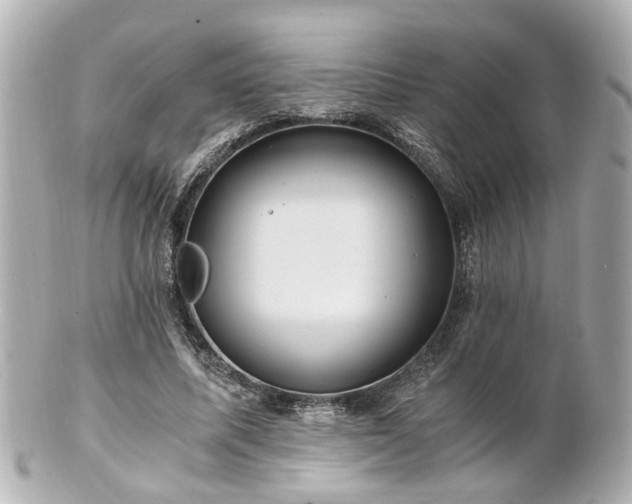 X0000100900587200807011222