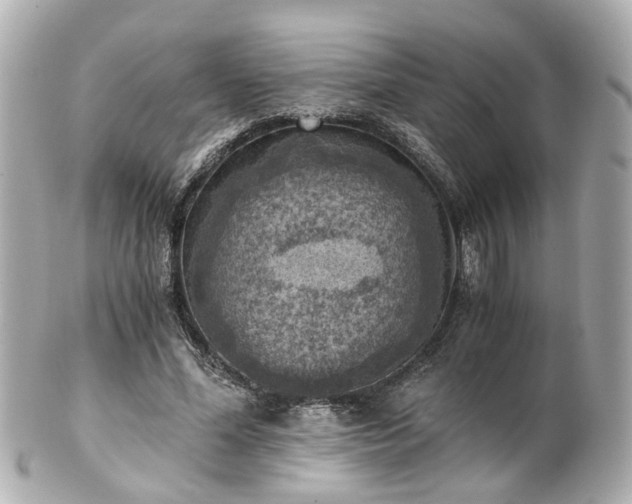 X0000100900588200807011222