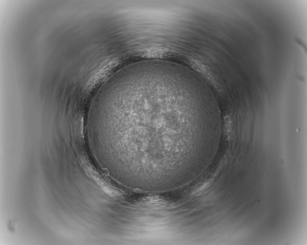 X0000100900589200807011222