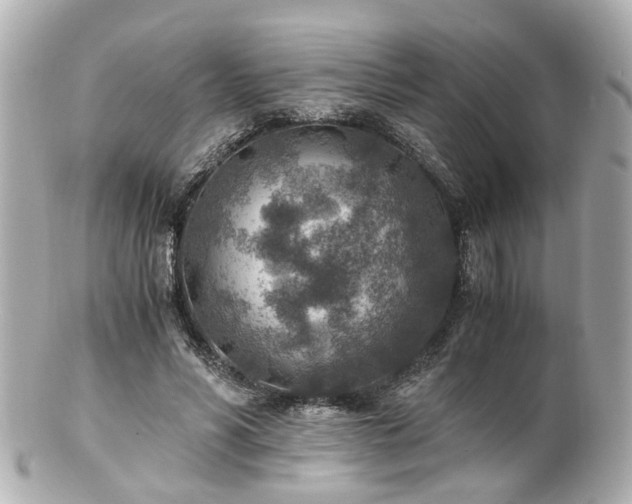 X0000100900590200807011222