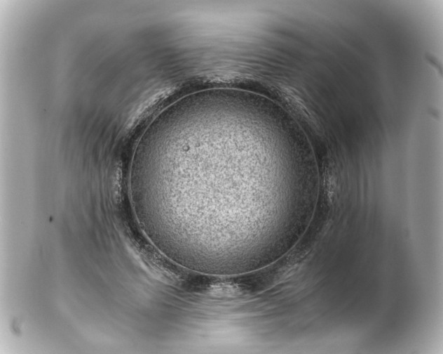 X0000100900591200807011222