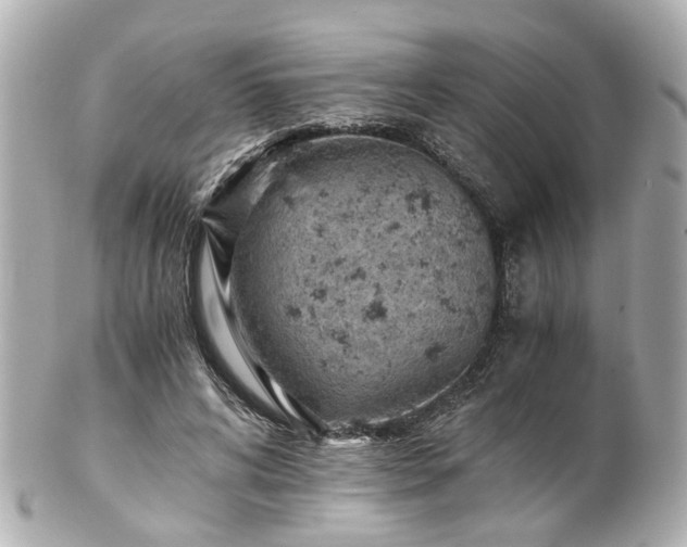 X0000100900592200807011222