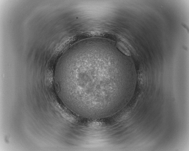 X0000100900593200807011222