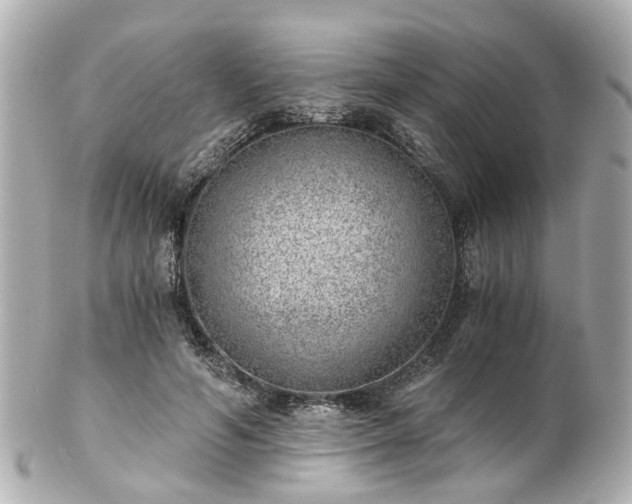 X0000100900594200807011222