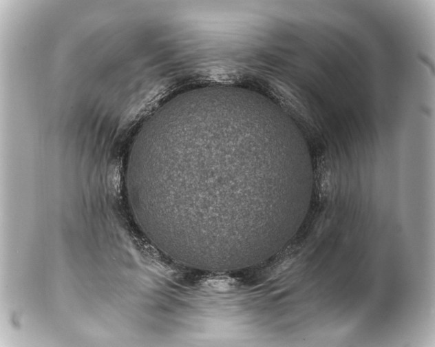 X0000100900595200807011222