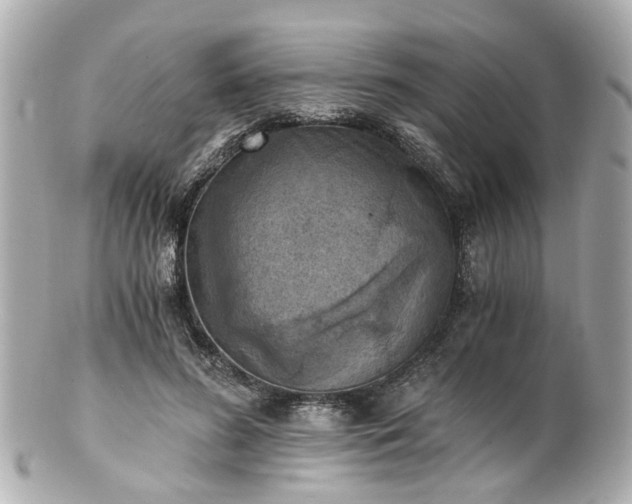 X0000100900596200807011222