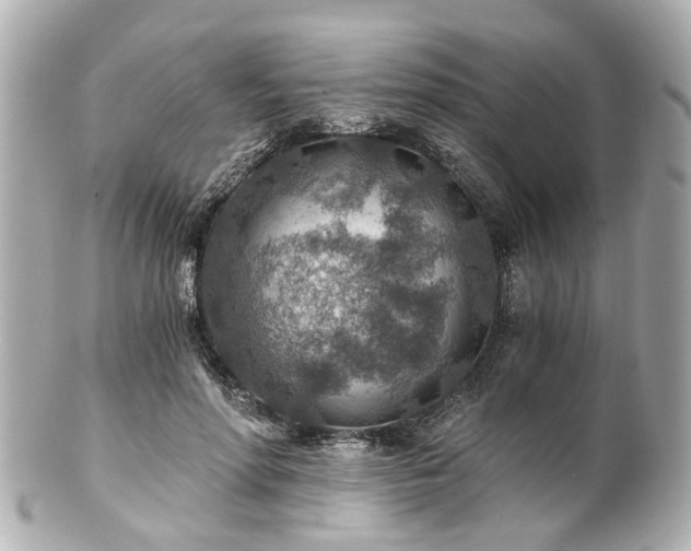 X0000100900598200807011222