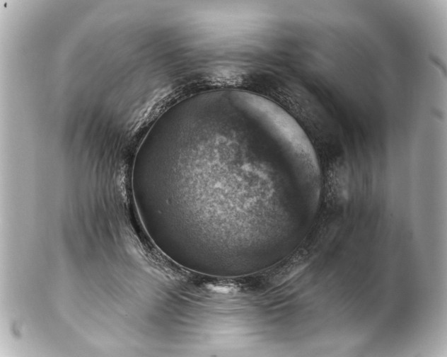 X0000100900600200807011222