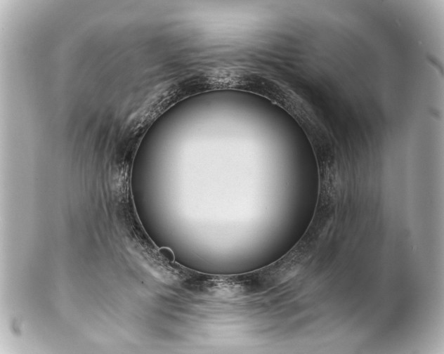 X0000100900601200807011222