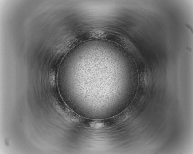 X0000100900602200807011222