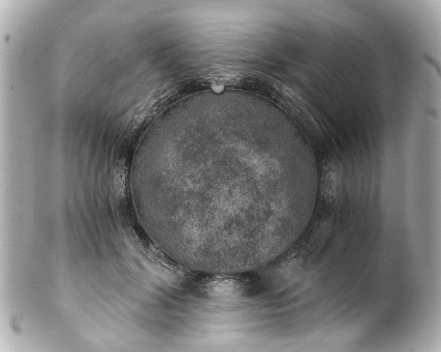 X0000100900604200807011222