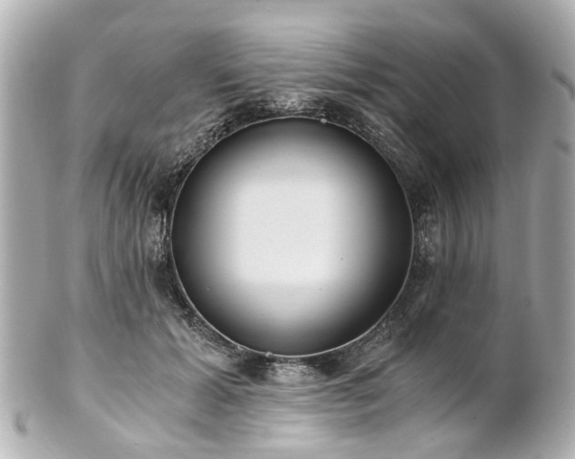 X0000100900605200807011222