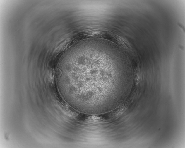 X0000100900607200807011222