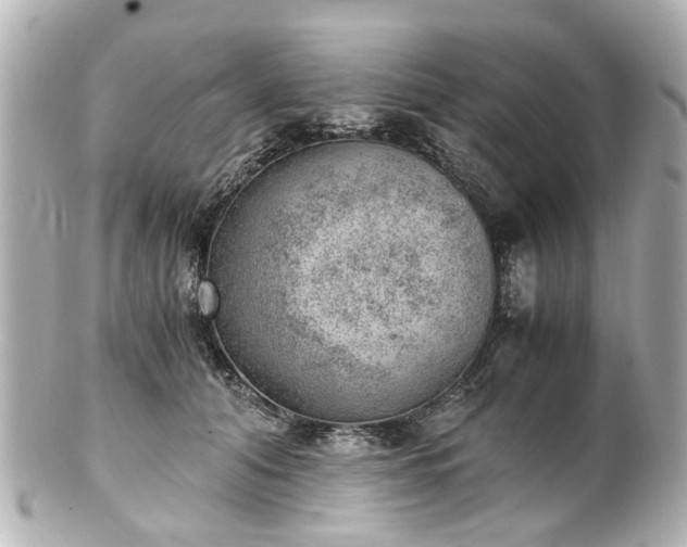 X0000100900608200807011222