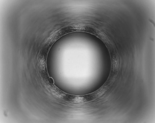 X0000100900609200807011222