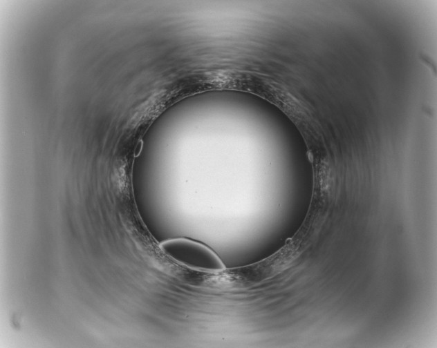 X0000100900611200807011222