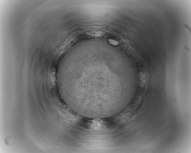 X0000100900612200807011222