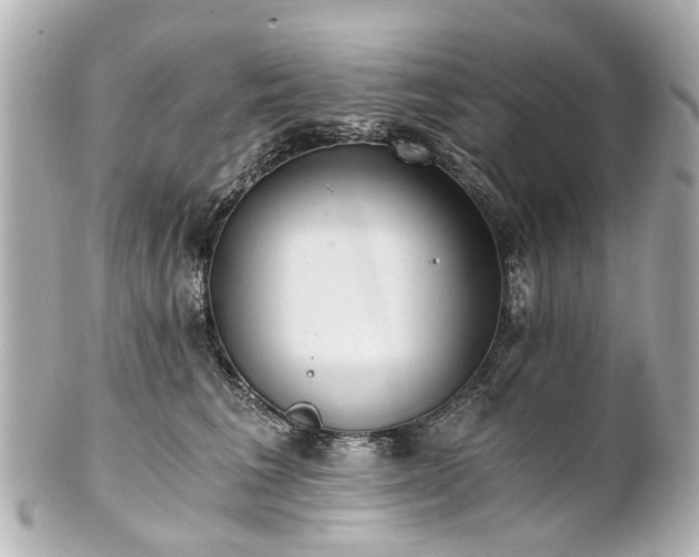 X0000100900613200807011222