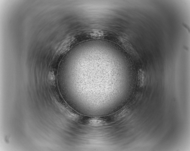 X0000100900614200807011222