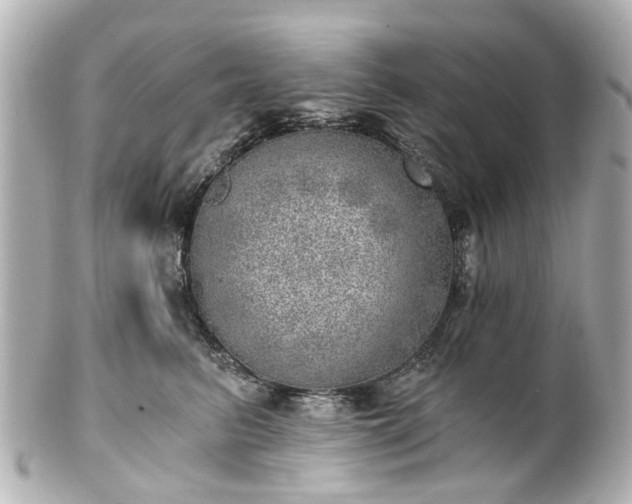 X0000100900615200807011222