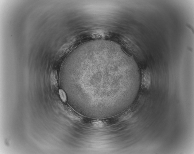 X0000100900616200807011222