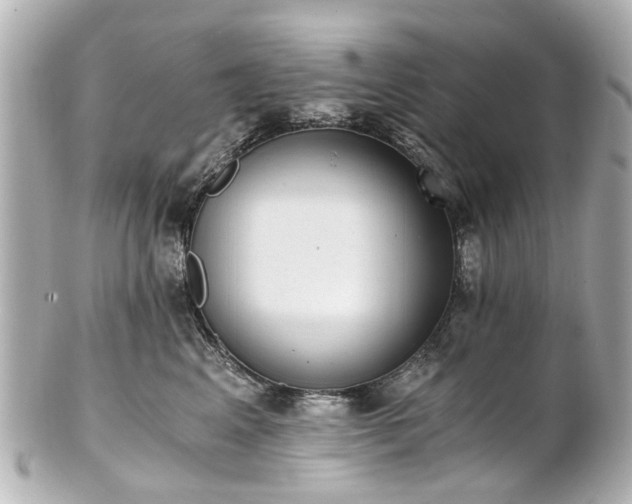 X0000100900617200807011222