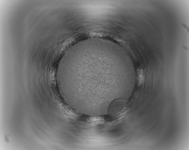 X0000100900619200807011222