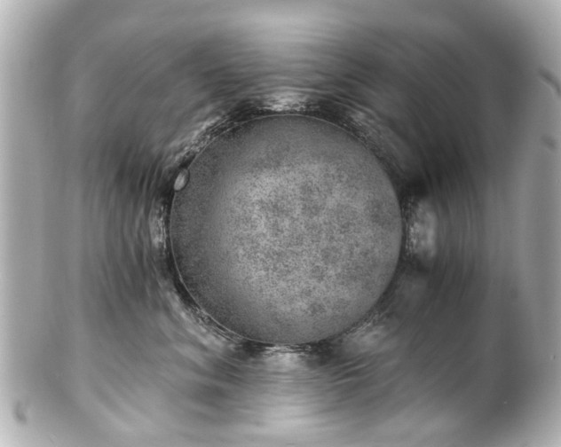 X0000100900620200807011222