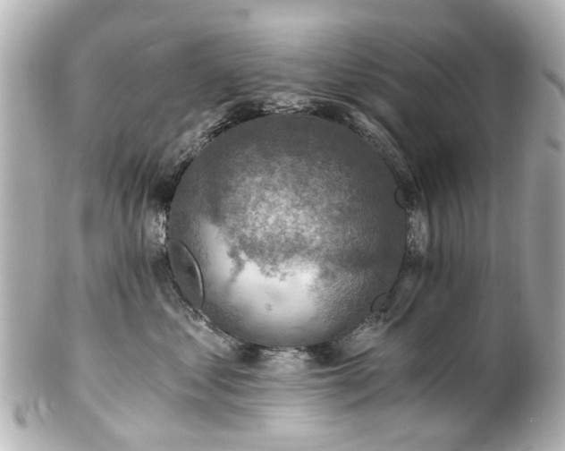 X0000100900621200807011222