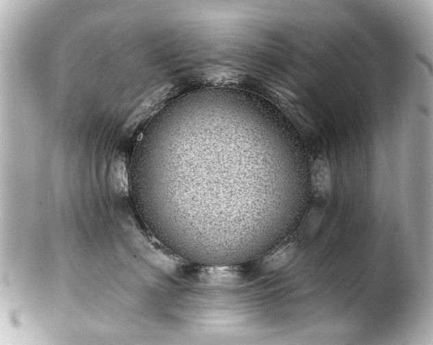 X0000100900622200807011222