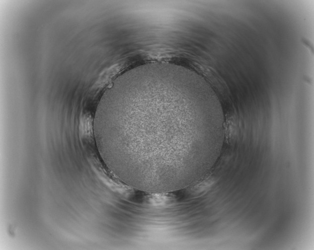 X0000100900623200807011222