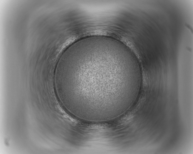 X0000100900625200807011221