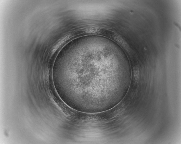 X0000100900626200807011221