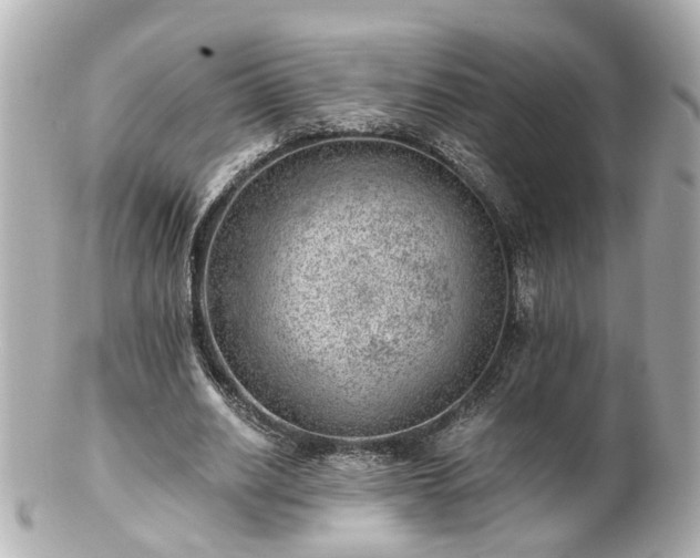 X0000100900630200807011221