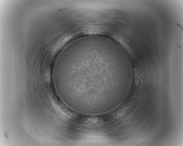 X0000100900631200807011221